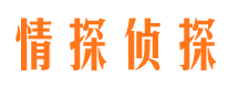 衡东市侦探调查公司